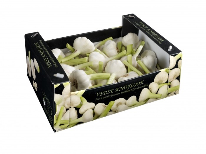 Frischer Knoblauch