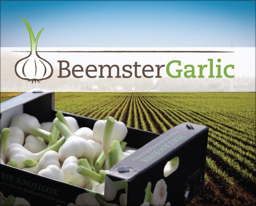 Beemster Garlic